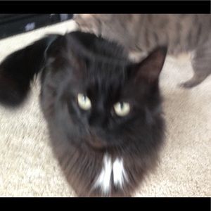 Meet your Posher, Beth